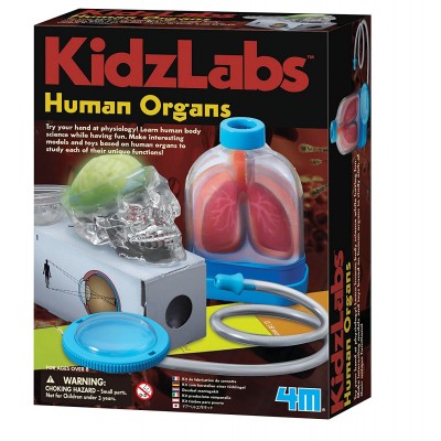 4M KidzLabs Human Organs