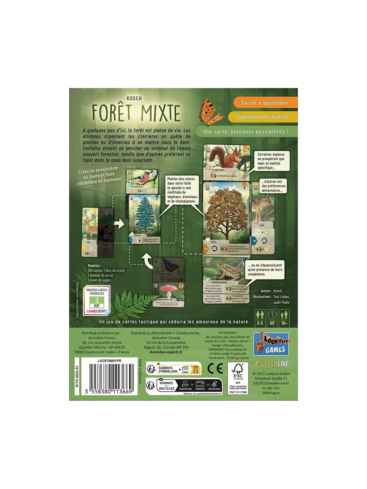 Lookout - Forêt mixte (French Version)