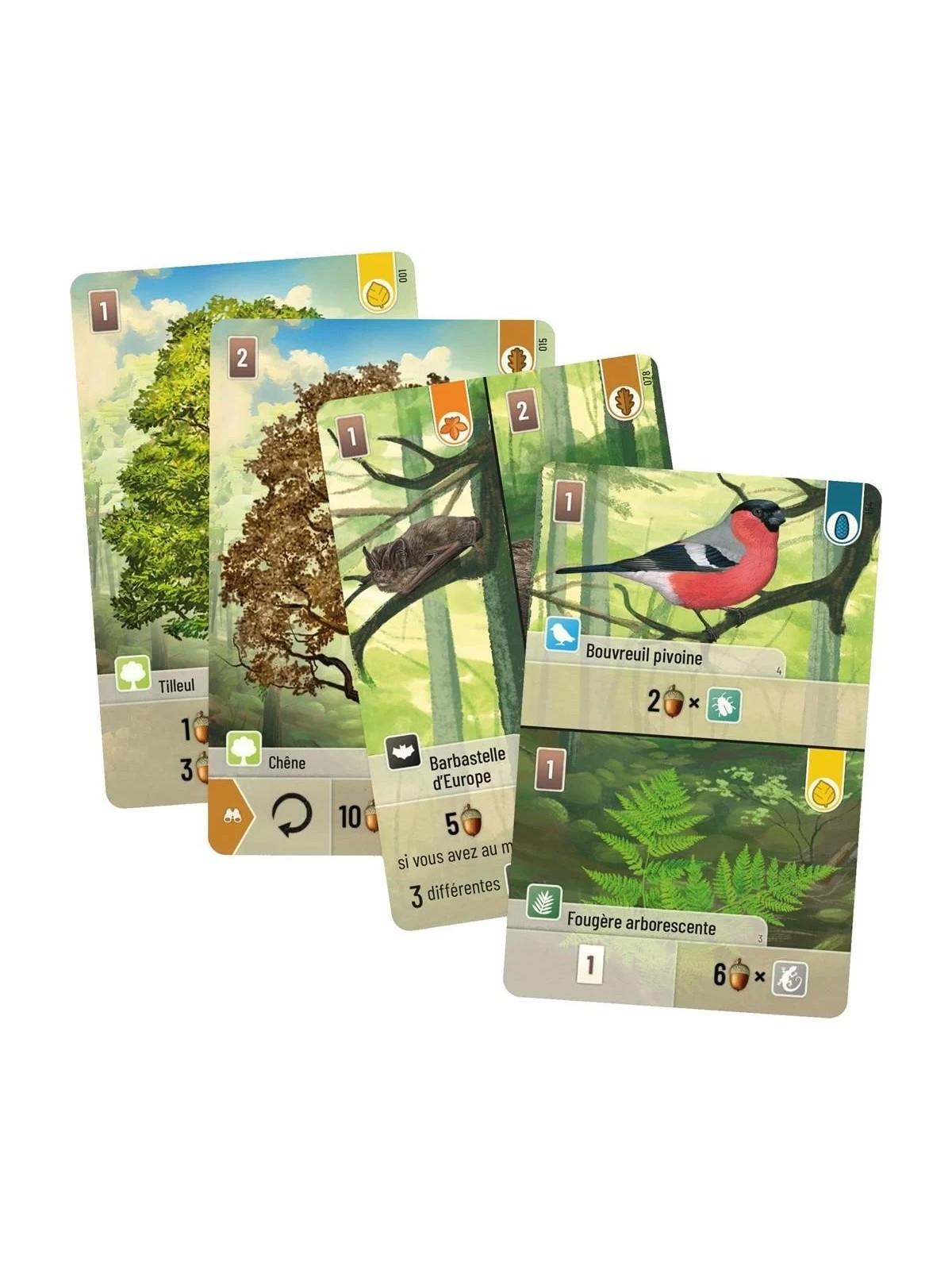 Lookout - Forêt mixte (French Version)