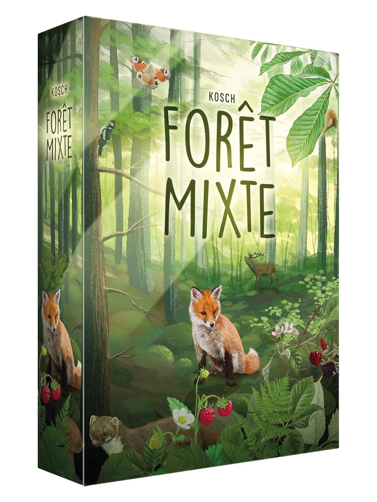 Lookout - Forêt mixte