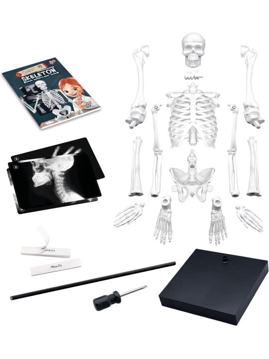 Buki - Giant Skeleton 85cm