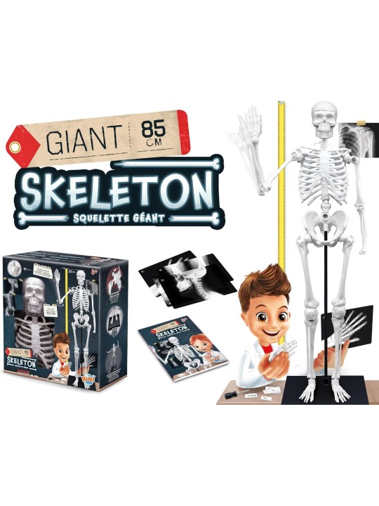 Buki - Giant Skeleton 85cm