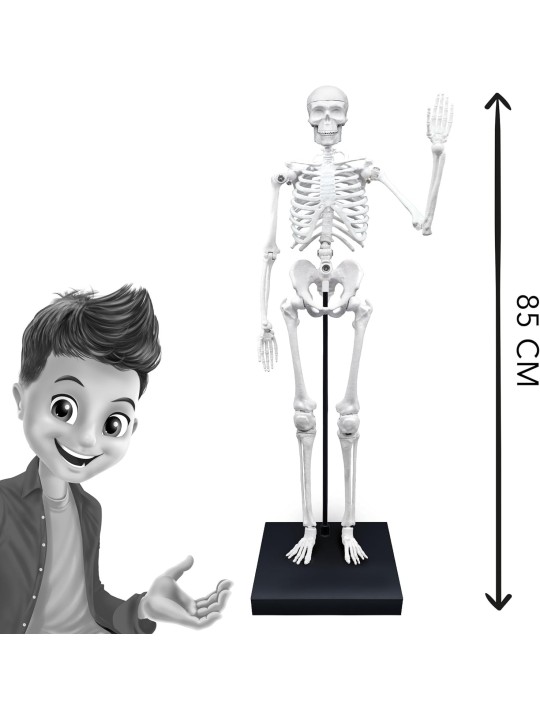 Buki - Giant Skeleton 85cm
