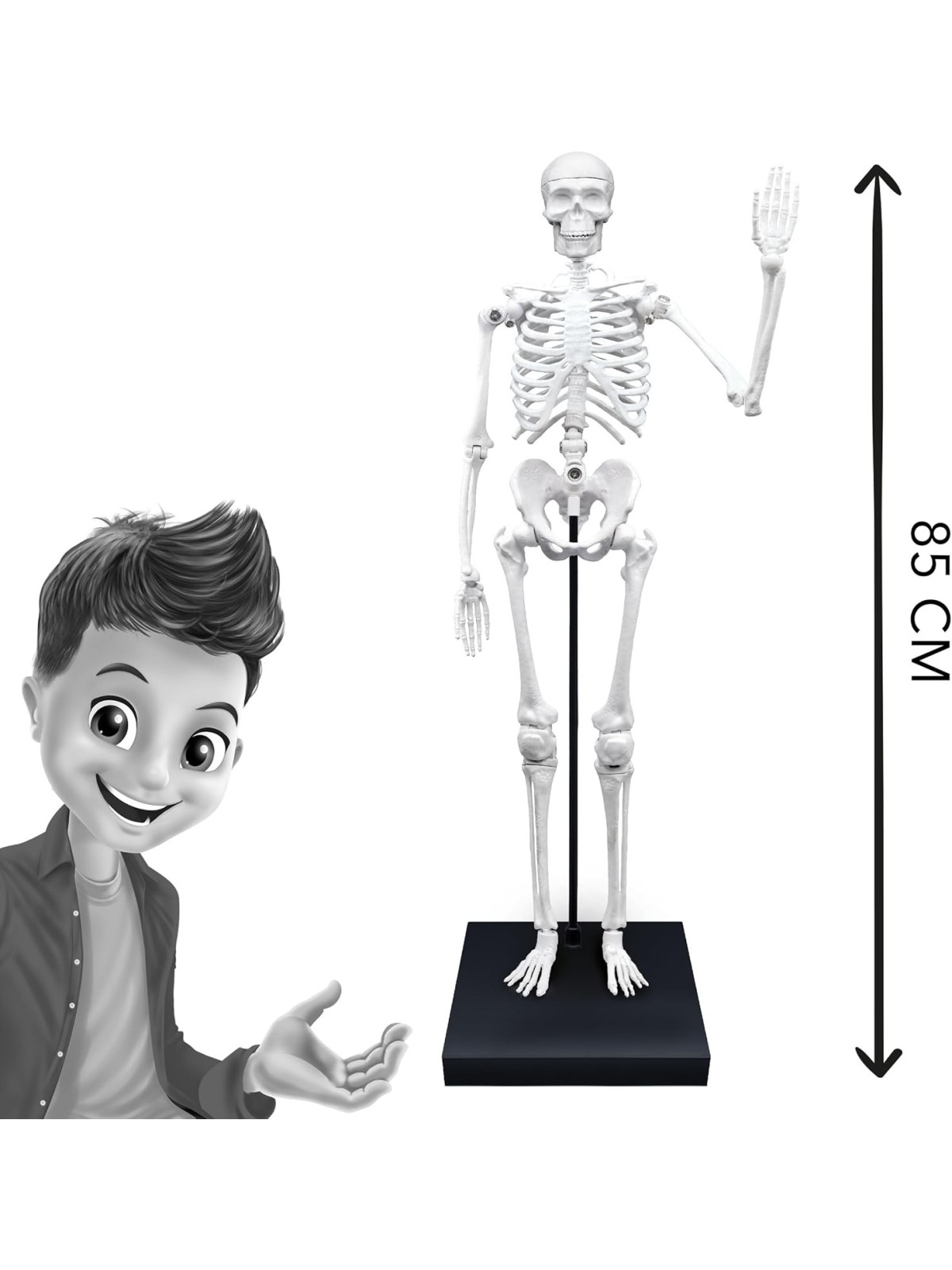 Buki - Giant Skeleton 85cm