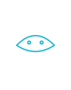 Bluff, Versteigerungen